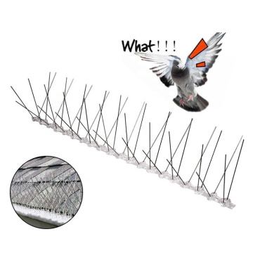 Plastic Based Polycarbonate Repellent Bird Spike/ Stainless Spikes Anti Bird On Rooftops